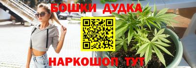 спайс Малгобек